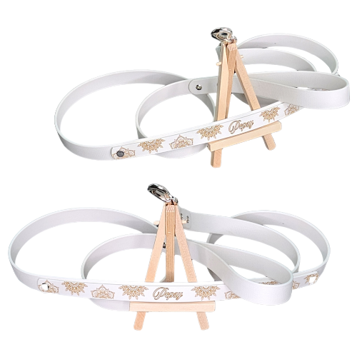 Laisse personnalisable (2,5 cm de largeur)