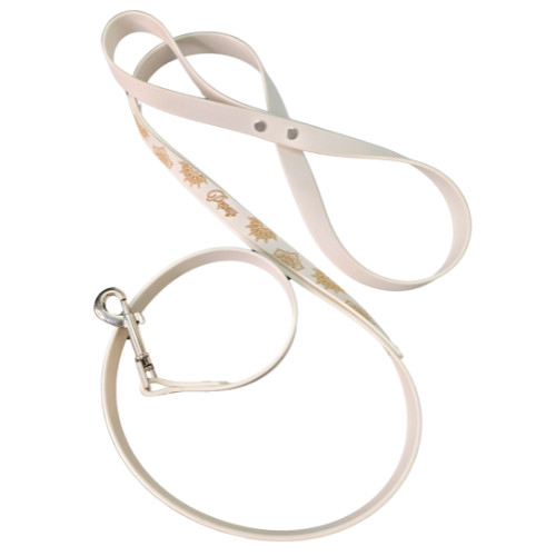 Laisse personnalisable (2,5 cm de largeur)