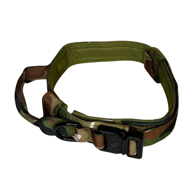 Collier Maître (Militaire)