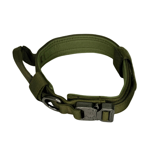 Collier Maître (Vert)