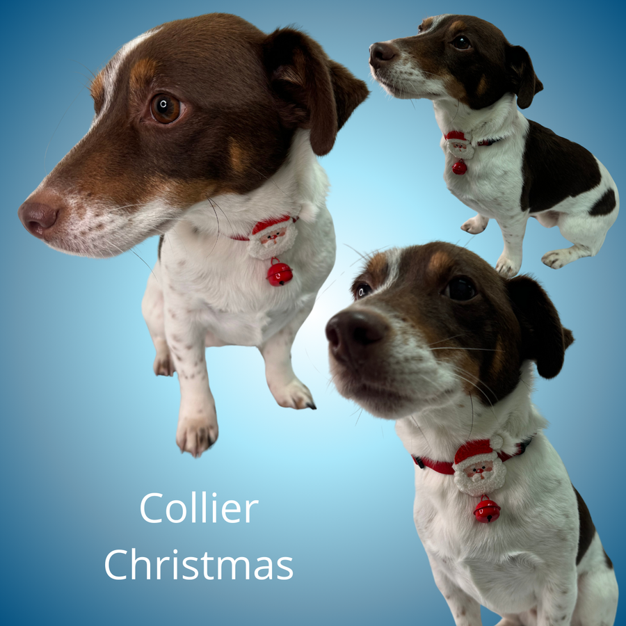 Collier Christmas