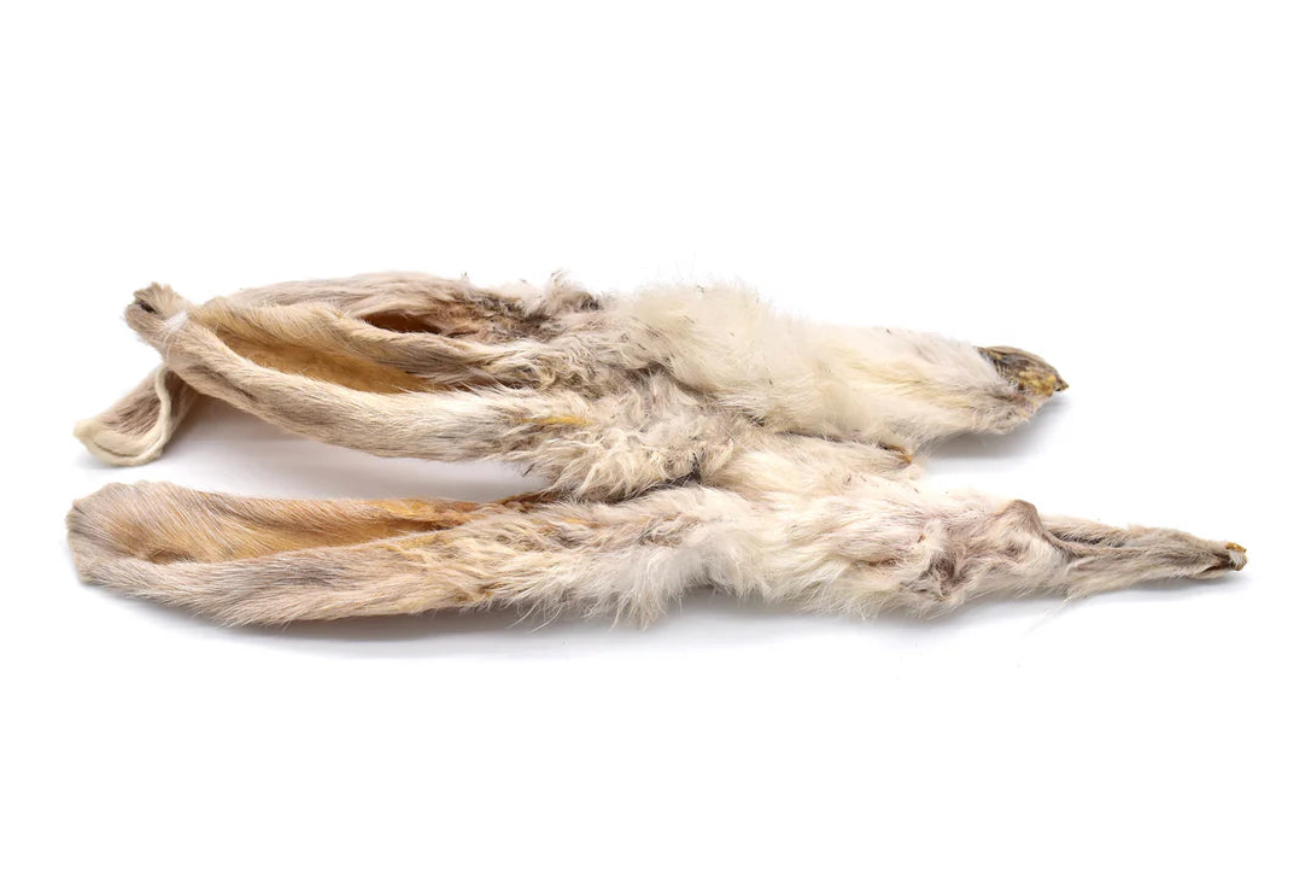 Oreille de lapin