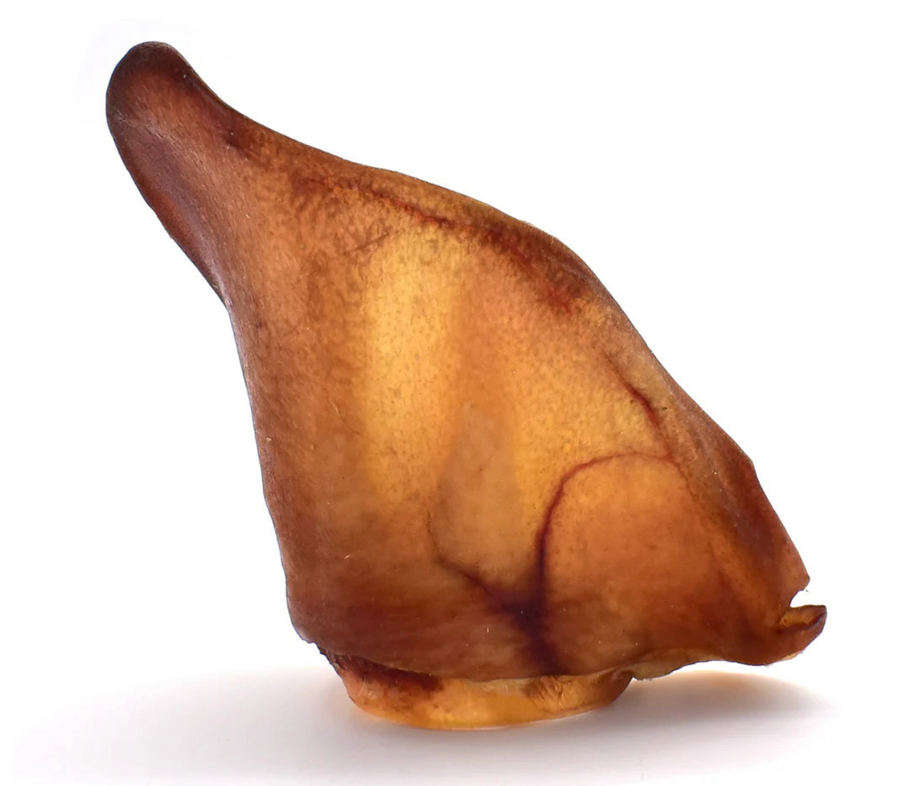 Oreille de porc (Victime de son succès)