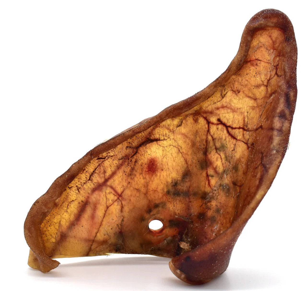 Oreille de porc (Victime de son succès)