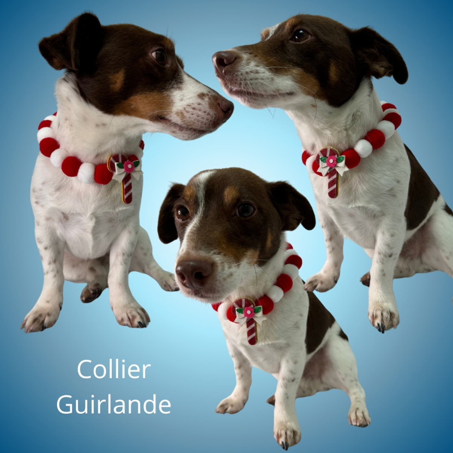 Collier Guirlande