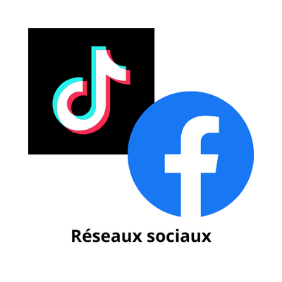 réseaux sociaux du site internet loveanddog.fr