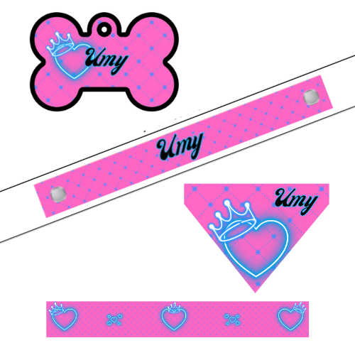 Ensemble Princesse