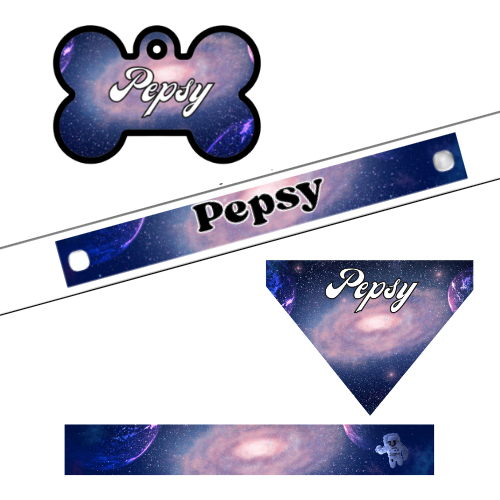 Ensemble Galaxy