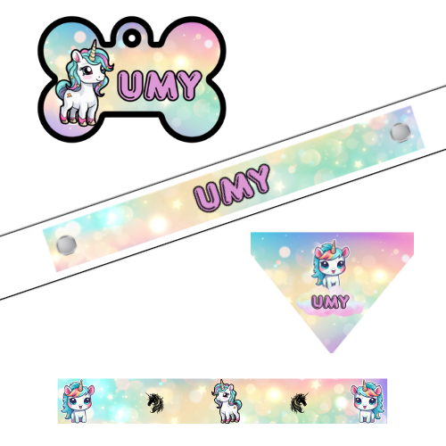 Ensemble Licorne