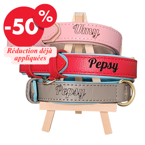 Collier Douceur Duo