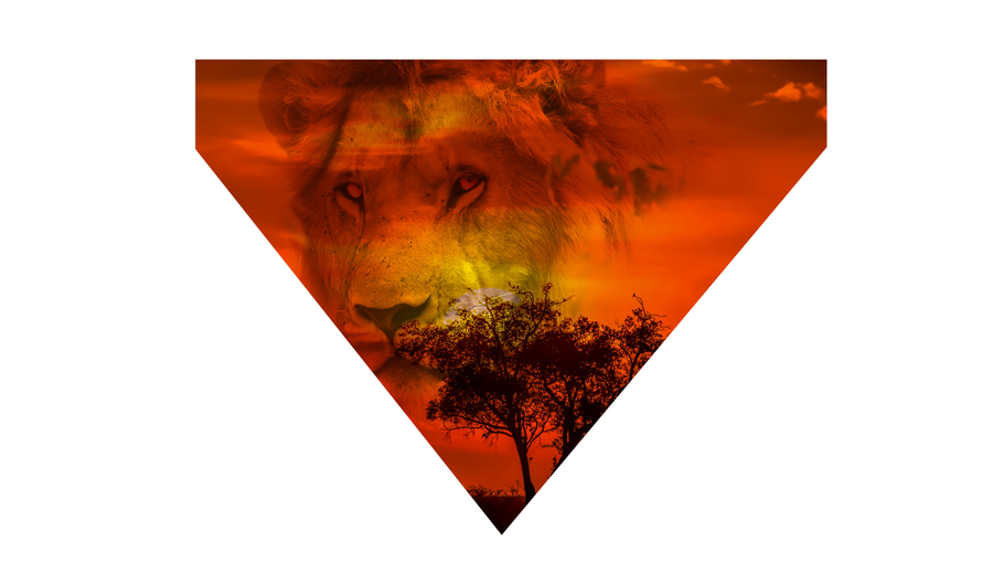 Bandana Savane